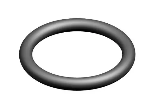 Schwarzer O-Ring von Bosch in runder Form, geeignet für Dichtungen. Die Oberfläche ist glatt und die Form ist gleichmäßig. Ideal für verschiedene Anwendungen.